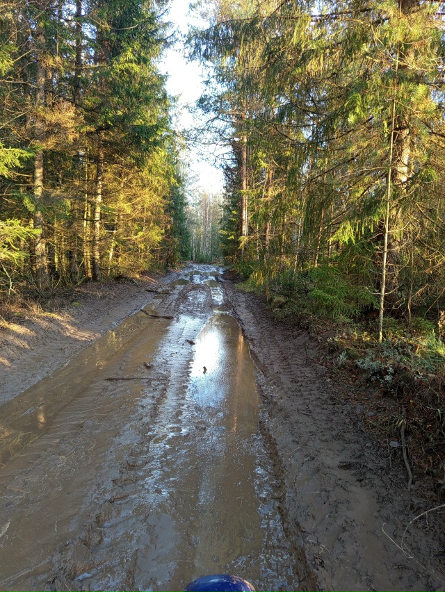 ⚡ Планировал катнуть
В последний теплый денек, но всё ...