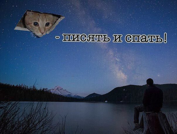 Ночная подборочка
Спать, режим