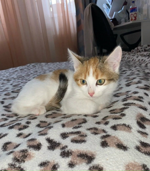 Девочка богатка пристраивается в заботливые руки. Воз?...