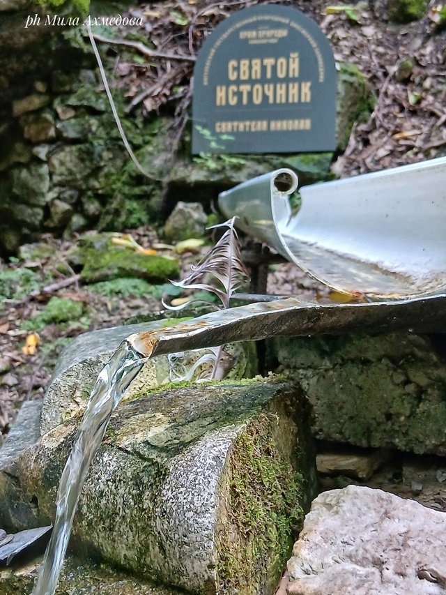 Урочище Каменная чаша. с. Солнечная поляна. Самарская о...