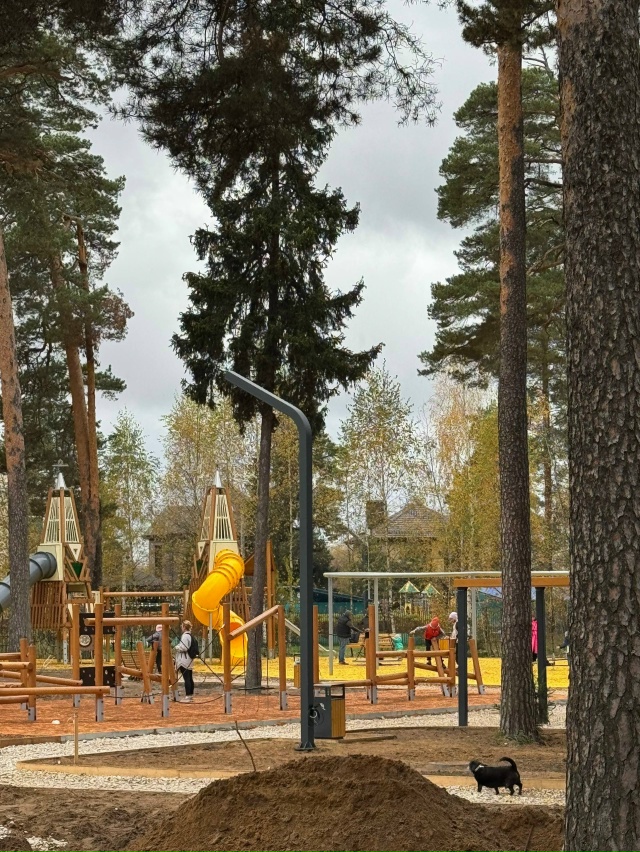 ? В Парковском лесопарке строят новый парк - и, призна?...