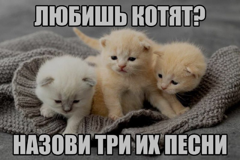 Ночная подборочка
Спать, режим