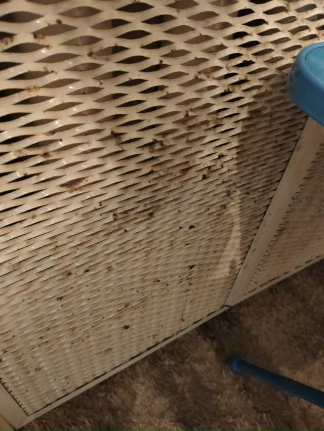 😔 Вот к чему приводит отсутствие отопления...
Космона?...