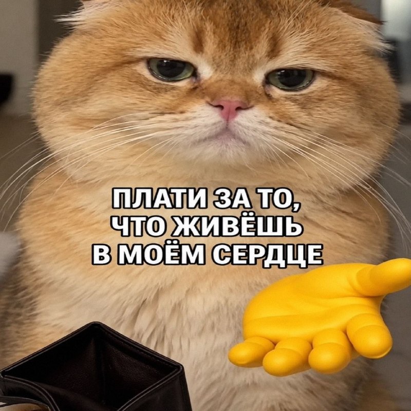 Утренняя подборочка