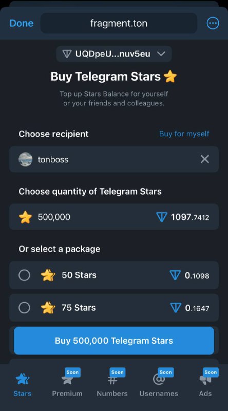 fragment.ton – децентрализованная покупка звёзд прямо в Telegram на TON Sites без KYC.
Альфа версия