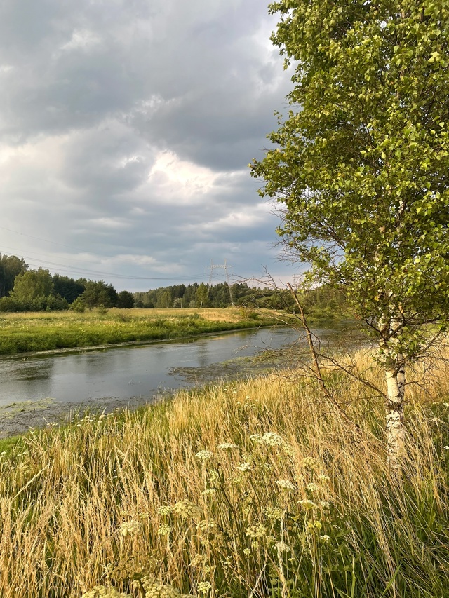 Наша русская красота. Река Москва ?