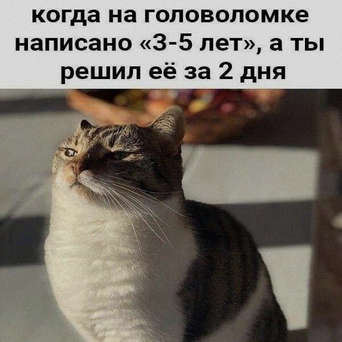 Ночная подборочка
Спать, режим