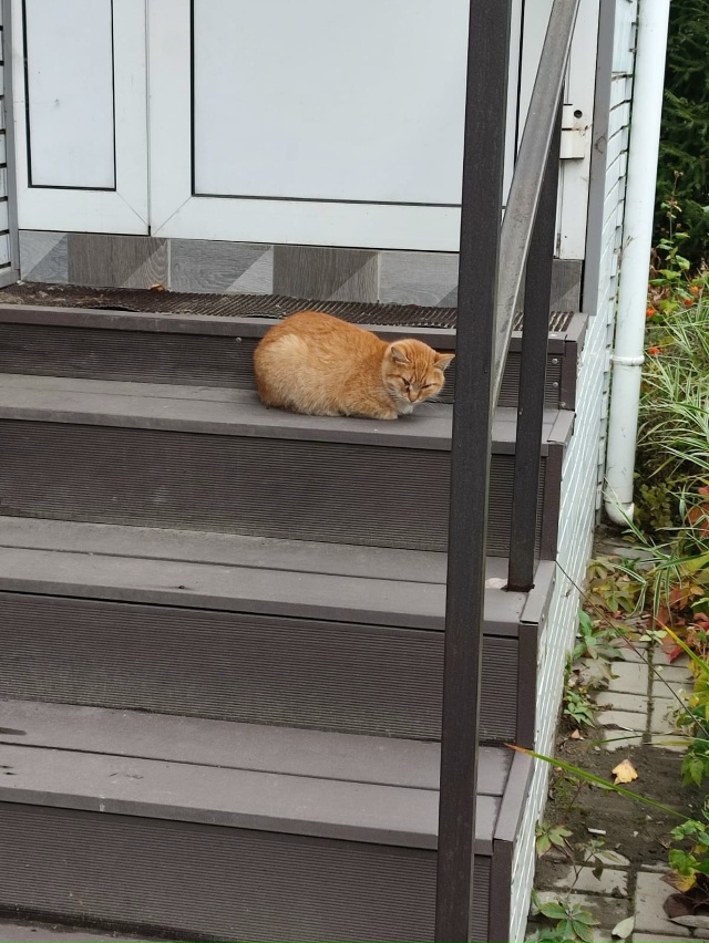 Доброго времени суток!
В Брагино на Ленинградском прос...