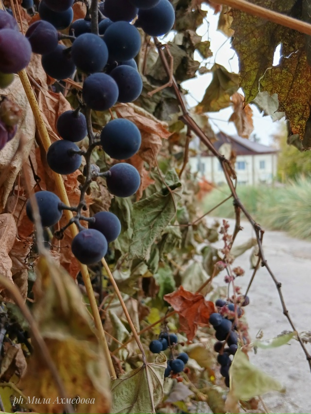 Красота в глазах смотрящего
Портпоселок 🍁🍂
Фотогра...