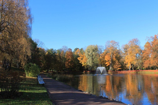 Кадры с осенней прогулки по Петергофу 🍁