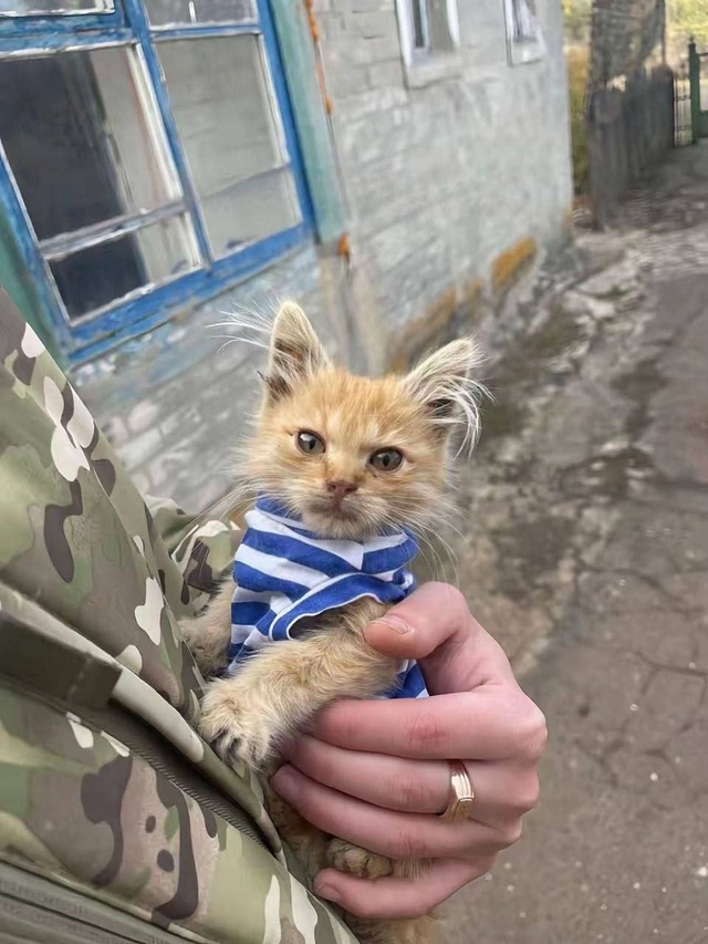 😁 Усатый спецназовец по кличке Демон бдительно охран?...