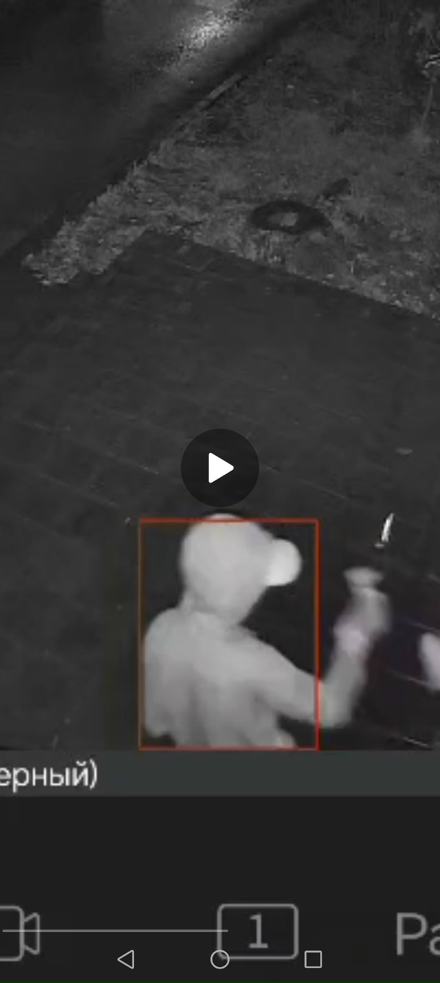 Молодёжь развлекается, разбивает вывески, ЯМ, Озон. Зая...