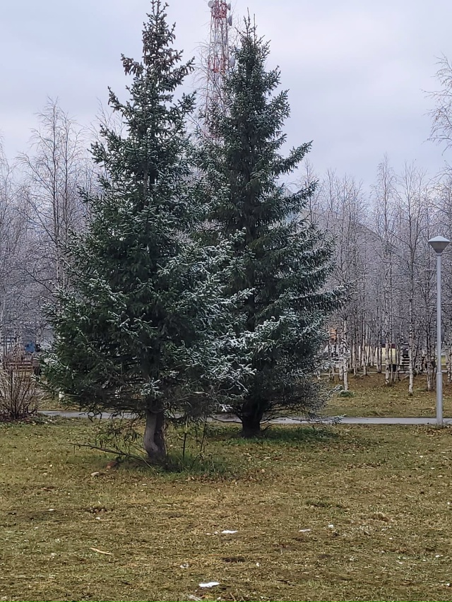 Вот и первый снежок.... И первые снеговики)))
И сердечко ??...