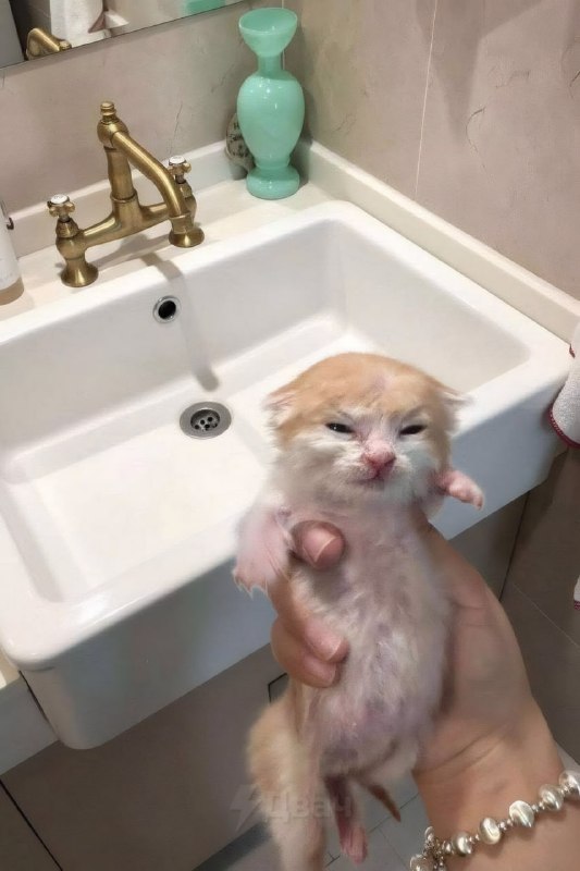 Микрочел больше не может вонять