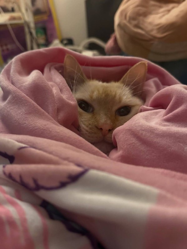 Укутываемся потеплее и спотб :3