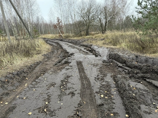 Кукуруза – наше всё!
Была грунтовка до трубчевского п...