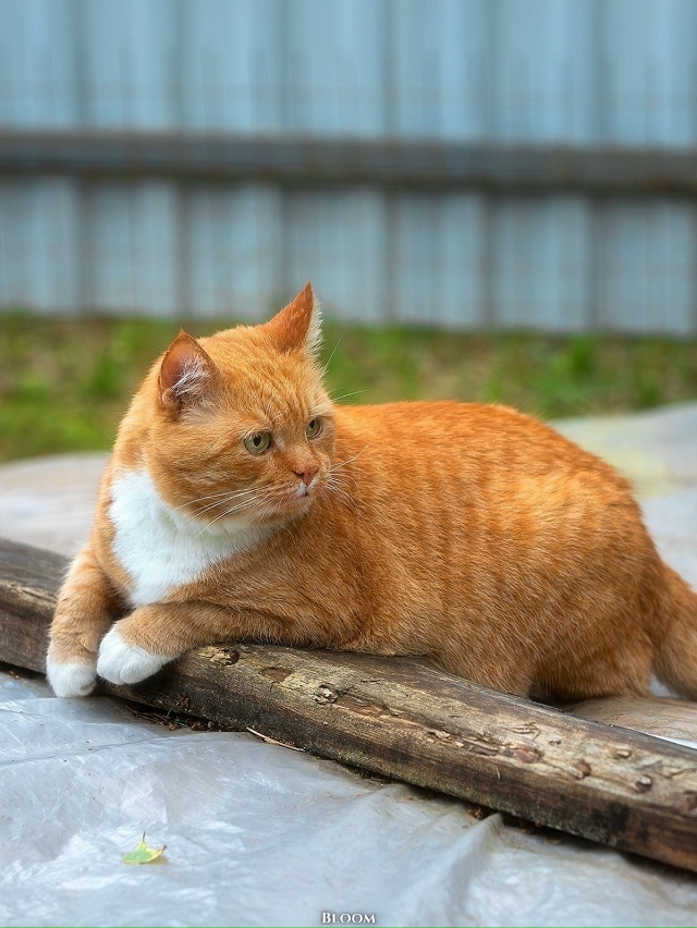 Это Филипп Александрович — человек, который по-настоя?...
