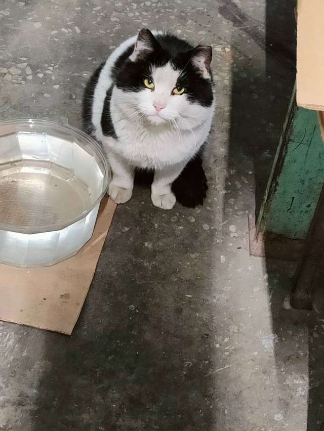 Иногда бывают невзрачные дни, которые никогда в жизни ?...