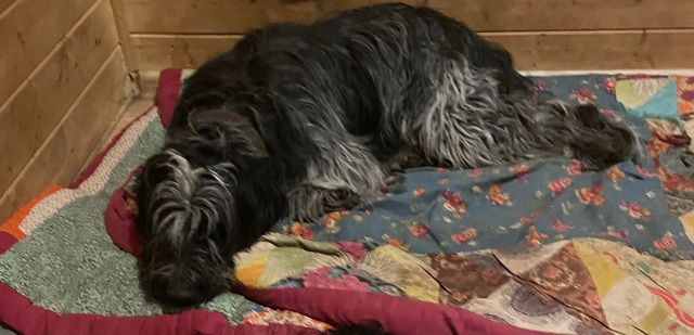 Потерялся 1.10.2025г. в 14.30,Мальчик в лесу между Поречье-Том...