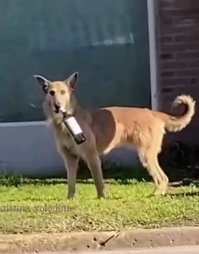Тут не понять будет в разы труднее
