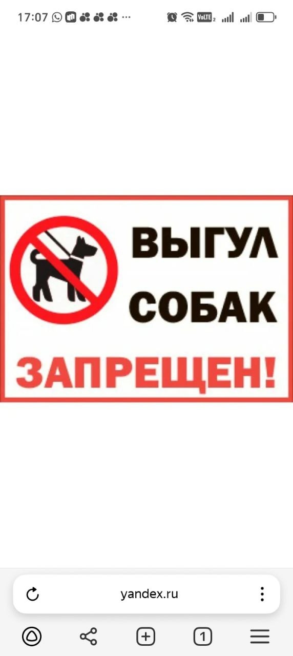 ❗ На парке Пушкина прибили табличку!
Хотя все собаки т...