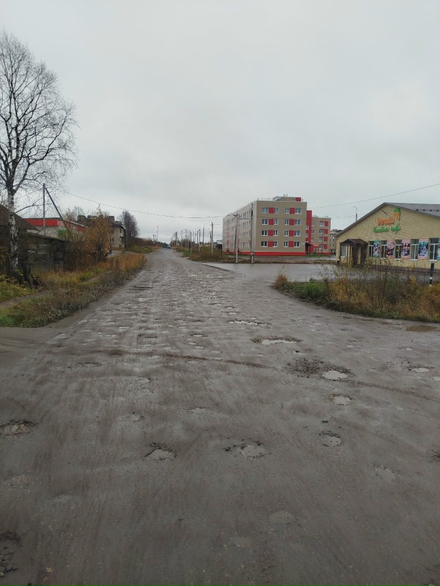 Почему Денисов не грейдерует дороги,
Космонавтов, Мол?...