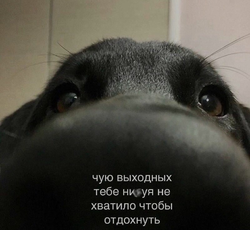 Ночная подборочка
Спать, режим