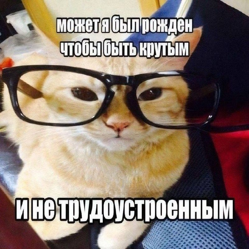 Утренняя подборочка