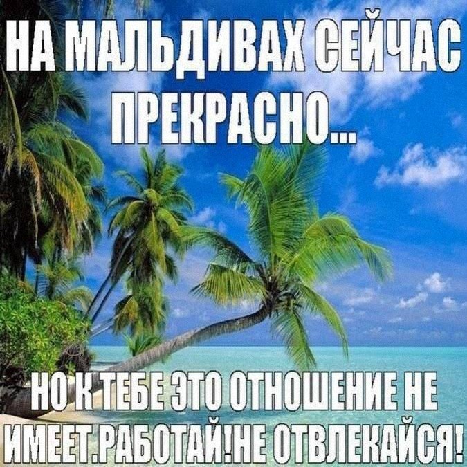 Утренняя подборочка