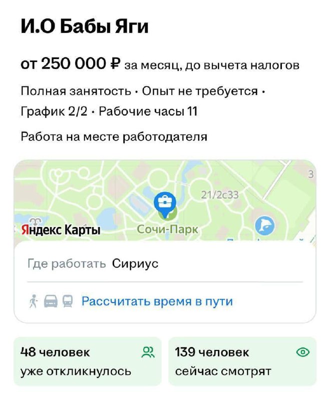 Бабу-ягу с зарплатой 250 тысяч ищут в Сочи — от кандидата требуют умение ворчать, бубнить и летать н