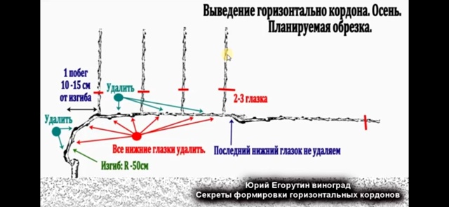 Переславль!
Доброго всем дня!
Хочу просить совета с фор...