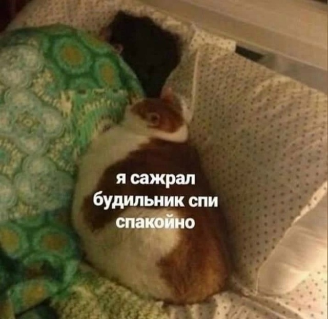 Все ради тебя, Наташ