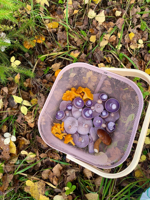 Доброй ночи! Мб кому нибудь нужна компания (преимущест?...