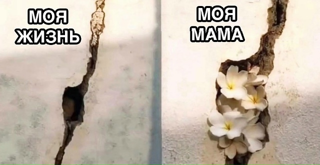 Именно так и есть😅