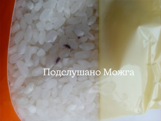 ‼️ Ужас
Рис, купленный для плова в Монетке - ужас!!! Пач?...