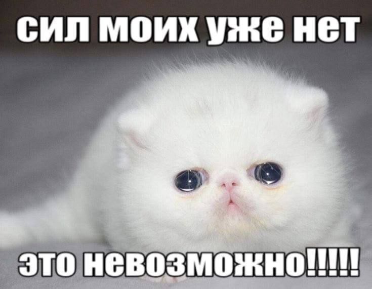 Парни: девушки только и разговаривают, что о шмотках и хуях
Наши разговоры с подругой: