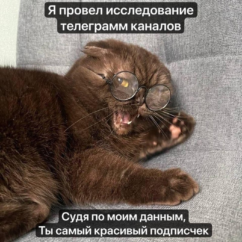 Утренняя подборочка