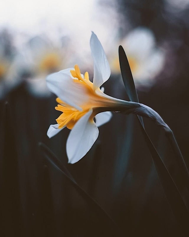 важно одно: не озлобиться от разочарований, научиться ?...