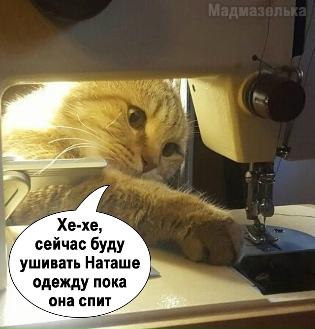 Какой коварный план)