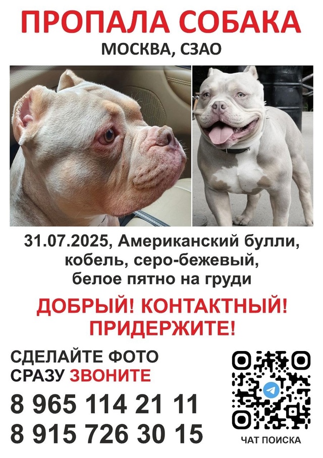 Добрый день ! Опубликуйте пожалуйста!!! Собаку ищут!!! Ес...