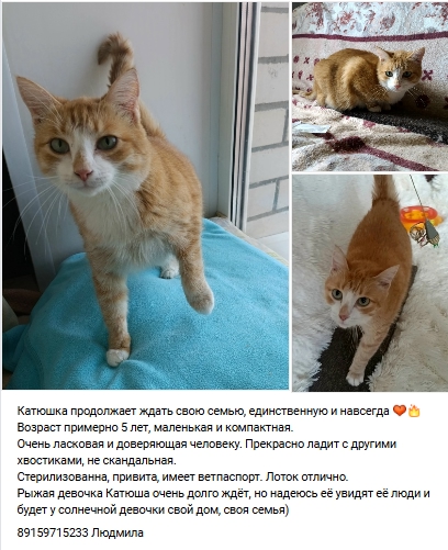 Пост добра. Распространите, пожалуйста.