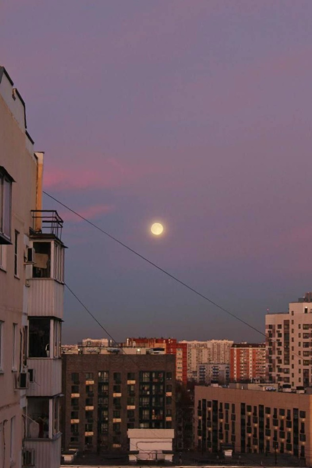 ⚡️Ярчайшая Бобровая Луна взошла над Россией — это са?...