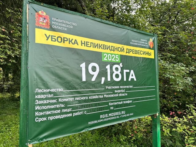 Работы по санитарной уборке леса активно ведутся в Кол...