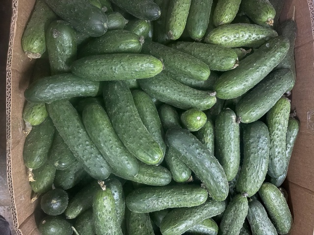 В магазине Горец свежее поступление:Фарш баранина Хал?...