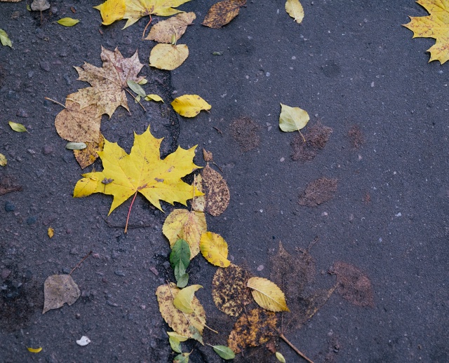 Осенние фотоэтюды