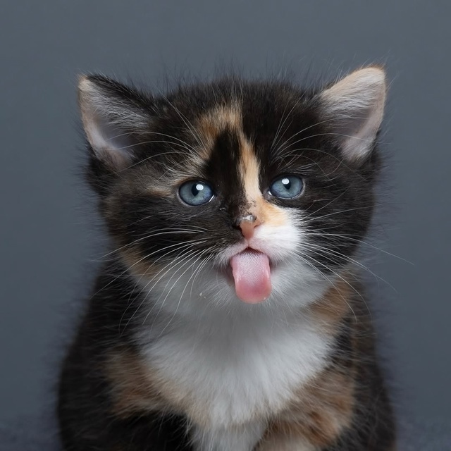 Нильс Якоби — человек с, возможно, самой завидной рабо?...