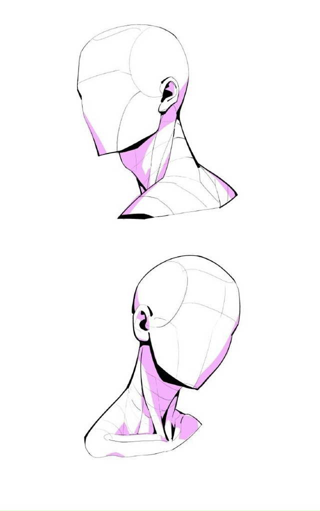 Голова
Sketch, Tutorial