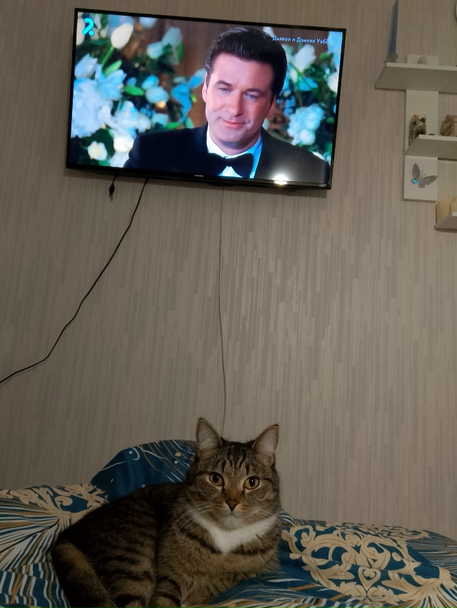 Красавцы 🥰🥰🥰