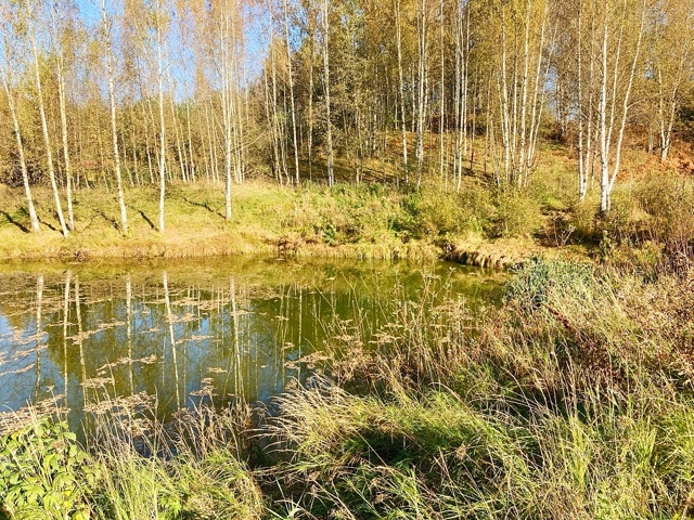 Осень.