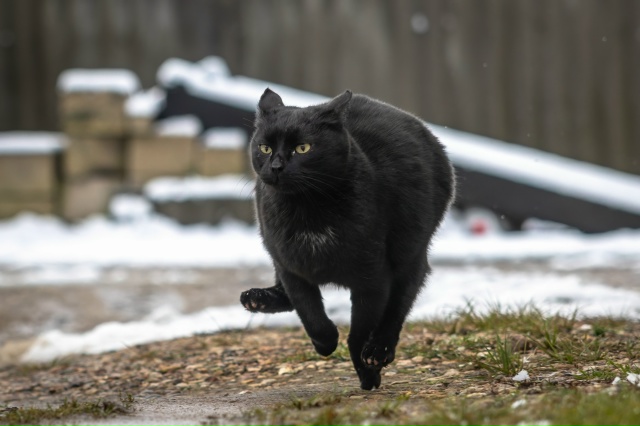 ❄ Привет зима, мы ждали!
Традиционно встретили первый ...